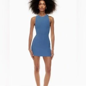 Aritzia Babaton Sculpt Racerback Mini Dress